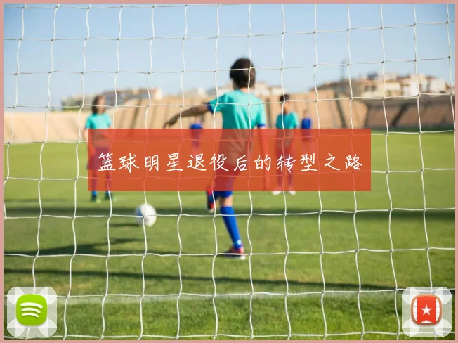 篮球明星退役后的转型之路